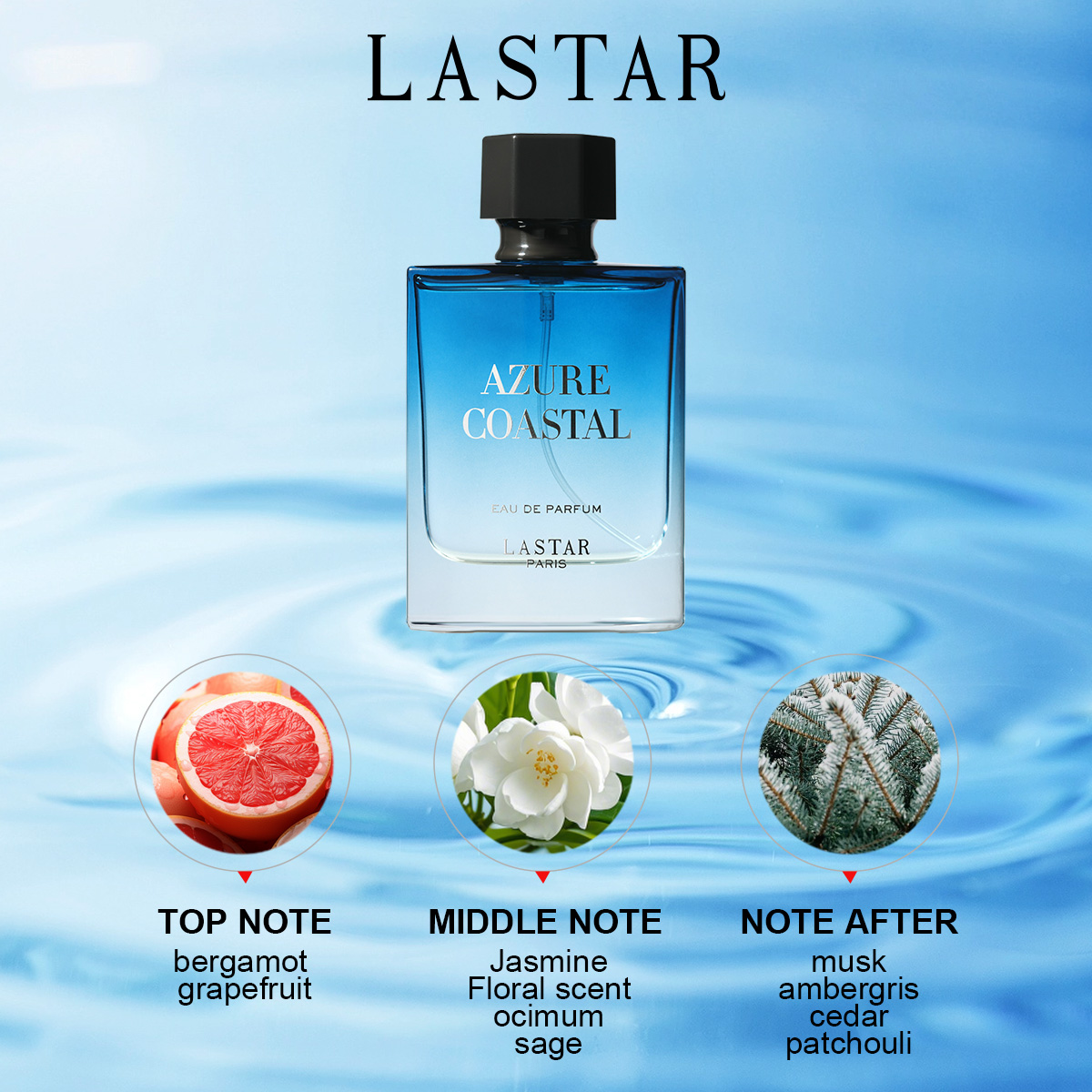 라스타 남성 향수, 2병 총 100ml/3.38fl.o - Perfume Fragrance For Men 리뷰 및 가격