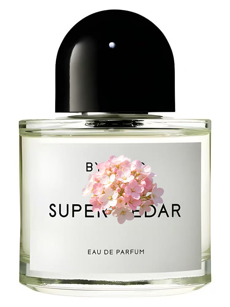 유니섹스 오 드 퍼퓸 100ml 3.4 fl.oz 럭셔 - Perfume Fragrance For Men 리뷰 및 가격