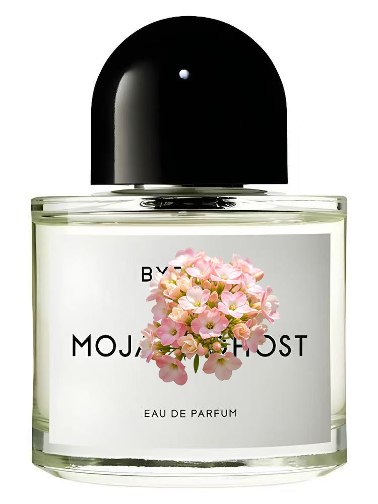 유니섹스 오 드 퍼퓸 100ml 3.4 fl.oz 럭셔 - Perfume Fragrance For Men 리뷰 및 가격
